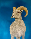 Top of the Mountain - Bighorn Sheep Painting