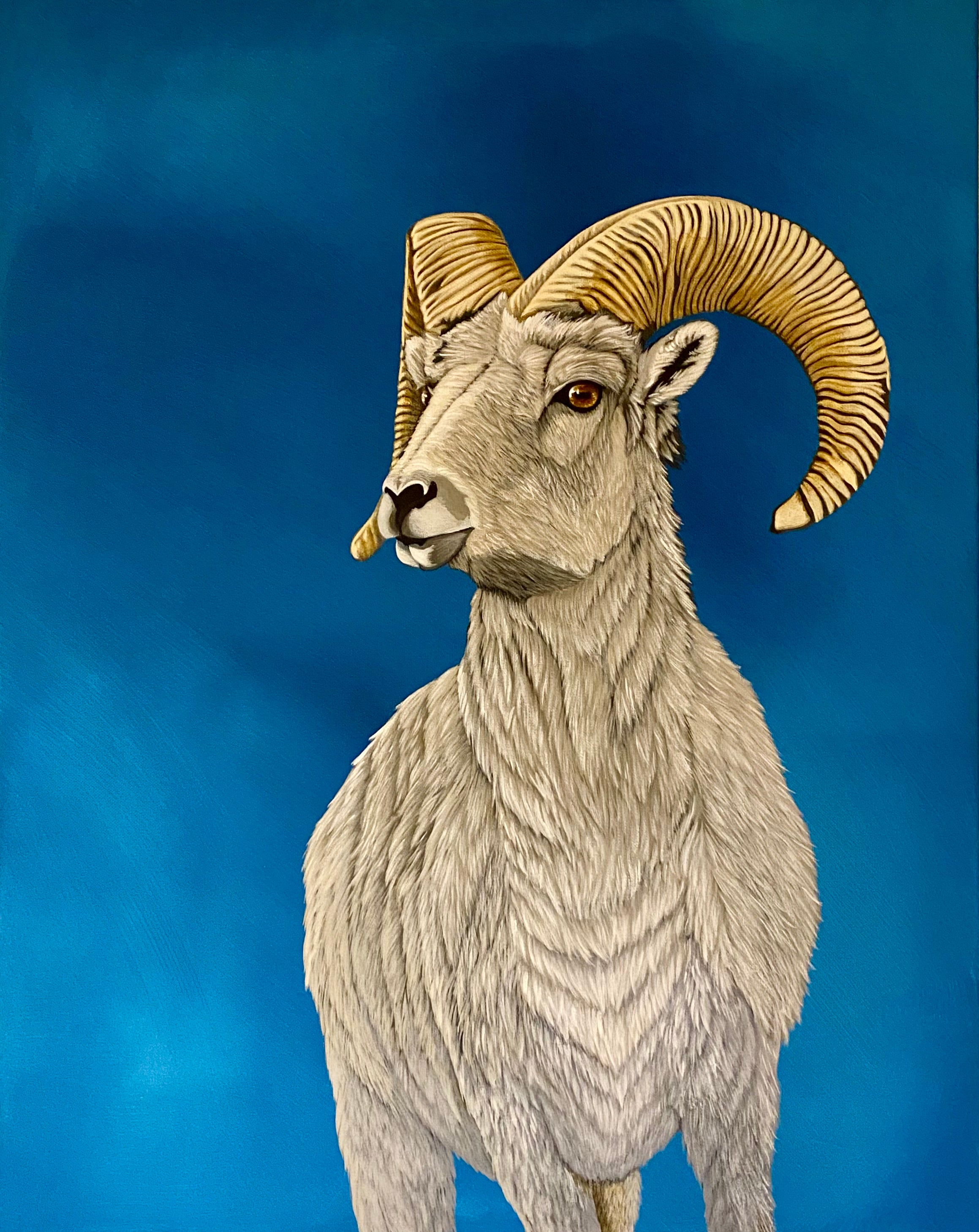 Top of the Mountain - Bighorn Sheep Painting