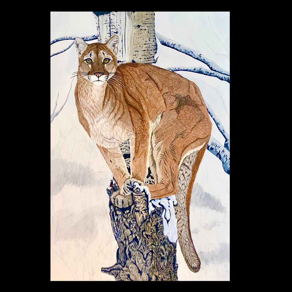 Sentinel - Cougar Painting