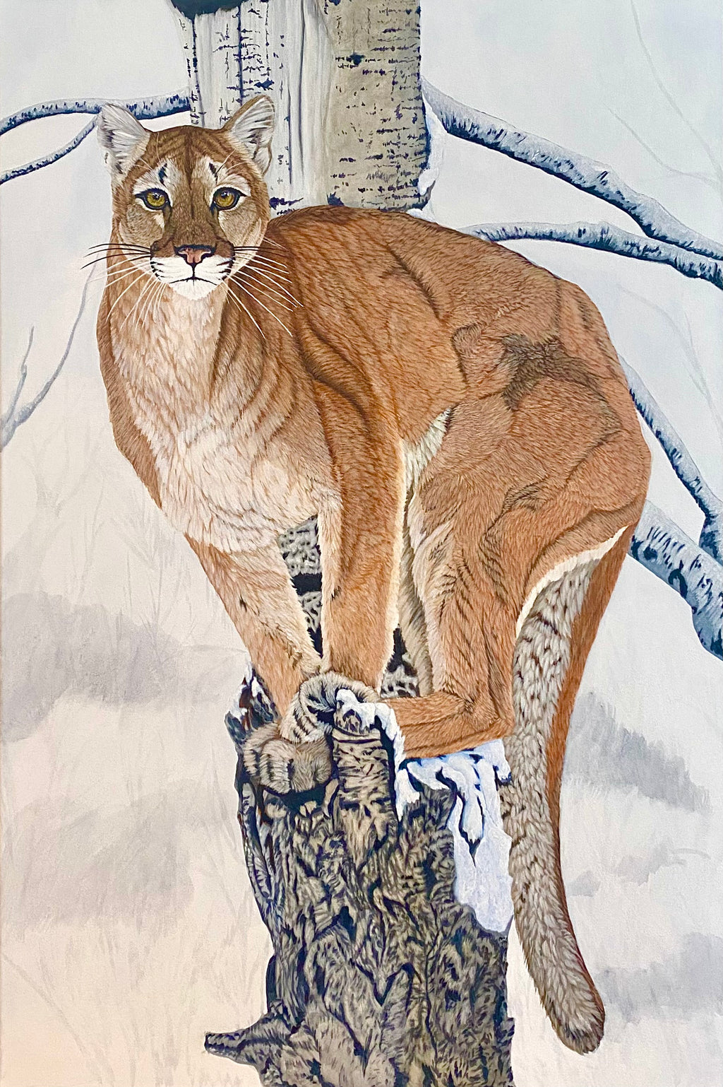 Sentinel - Cougar Painting