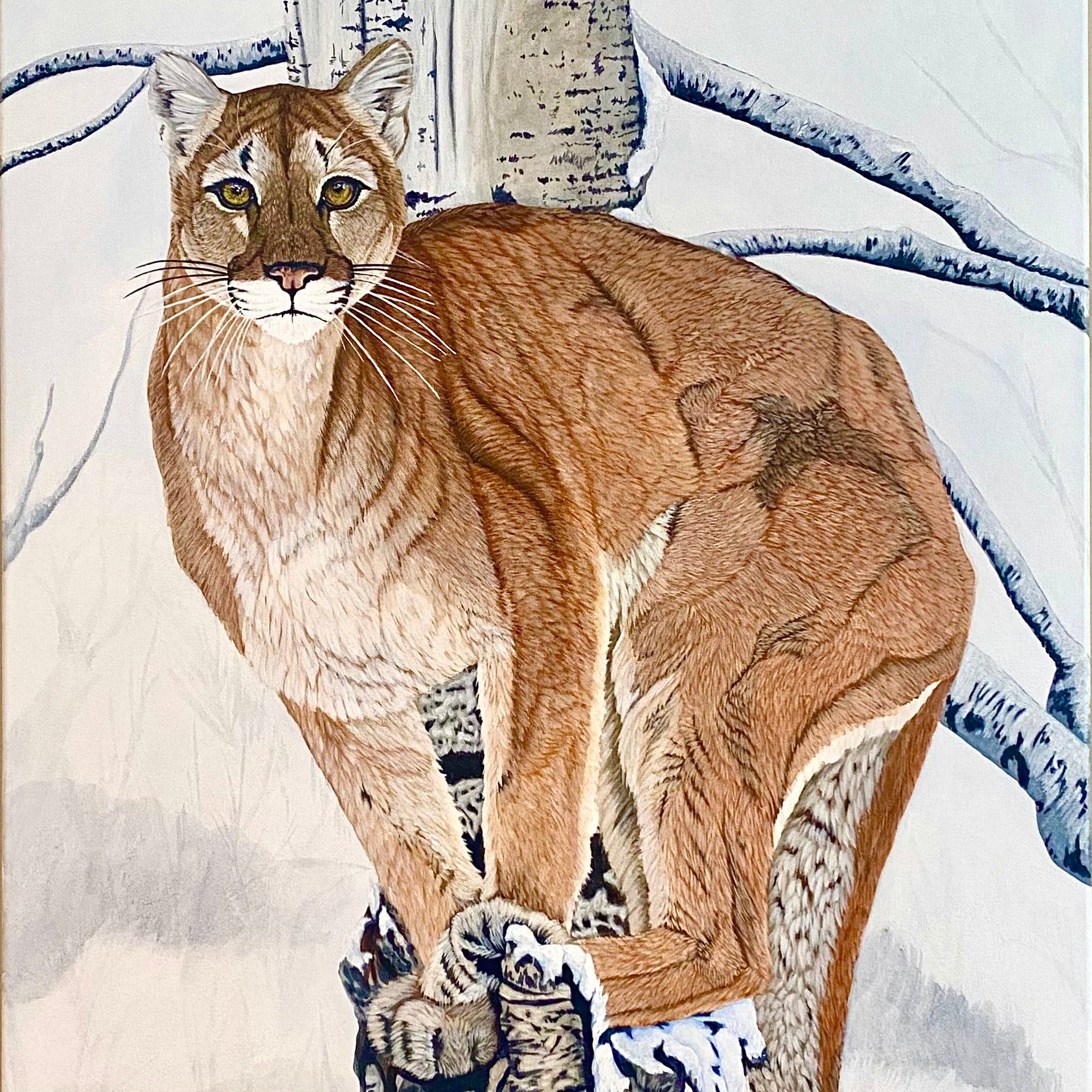 Sentinel - Cougar Painting