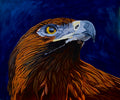 Hunter’s Gaze - Eagle Painting