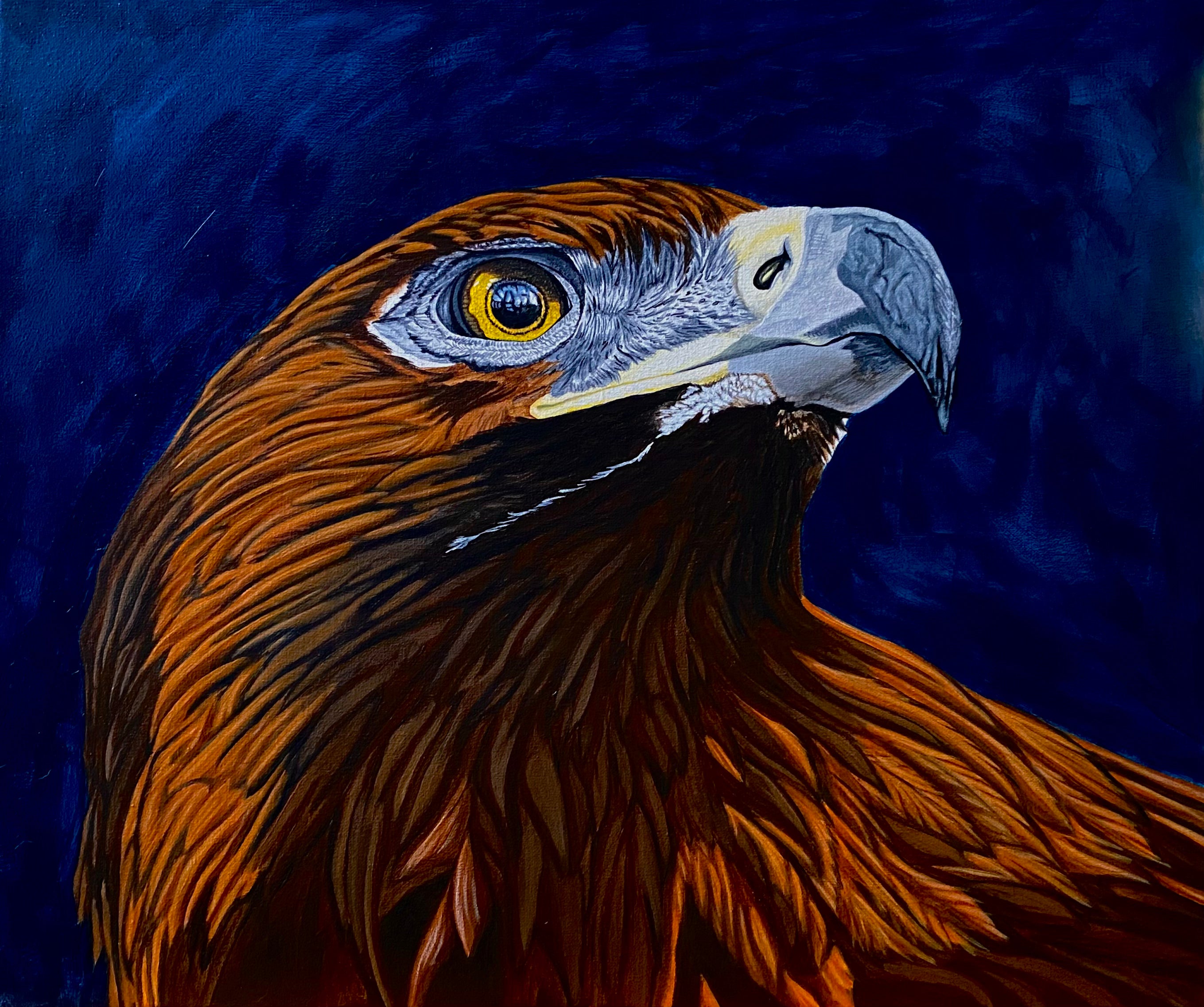 Hunter’s Gaze - Eagle Painting