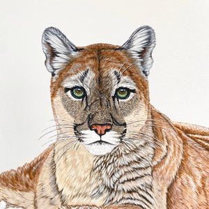 “Tranquility” Acrylic Cougar Painting