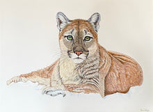 Load image into Gallery viewer, “Tranquility” Acrylic Cougar Painting