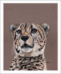 Mesmerize - Cheetah Fine Art Print