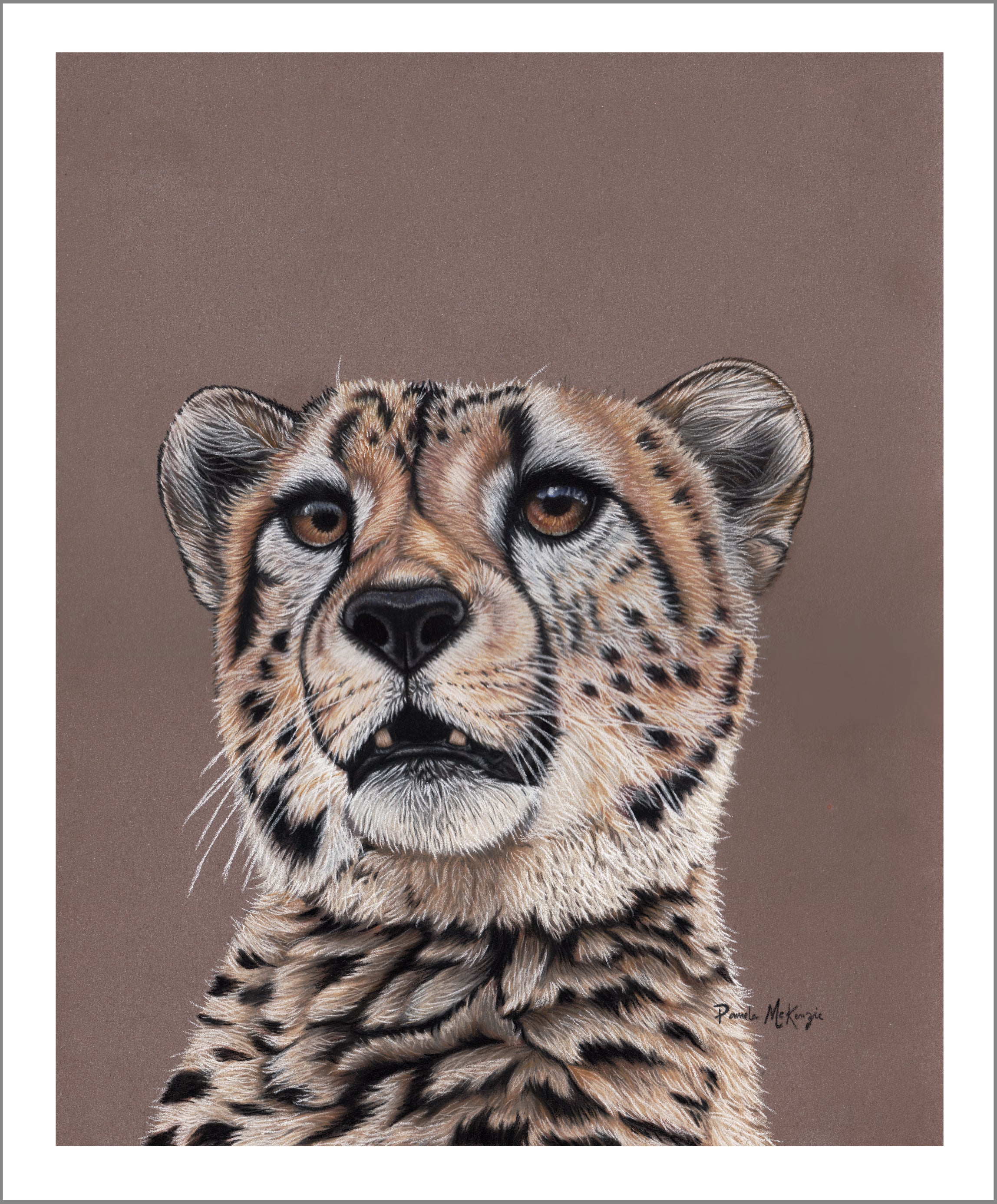 Mesmerize - Cheetah Fine Art Print