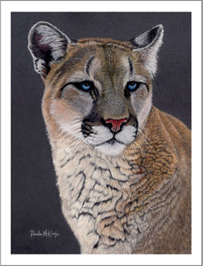 "Stoic" Cougar Fine Art Print