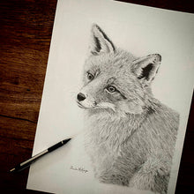 Load image into Gallery viewer, Reverie Fox Portrait Graphite Drawing by Canadian wildlife artist - Silverline Fine Art