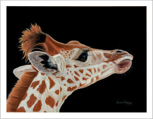 "Promise" Giraffe Fine Art Print