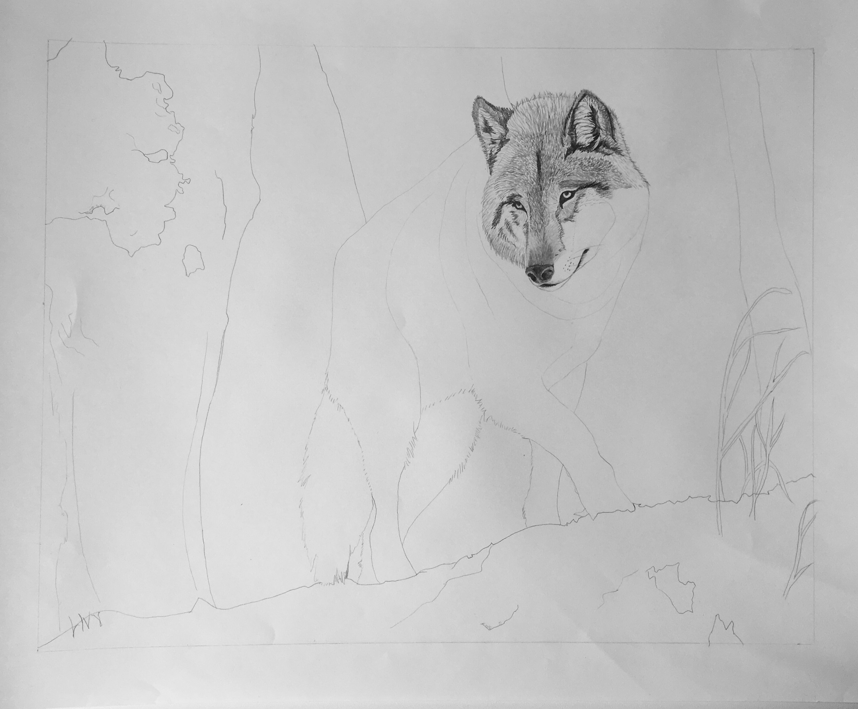 Northern Guardian