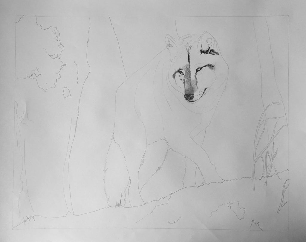 Northern Guardian
