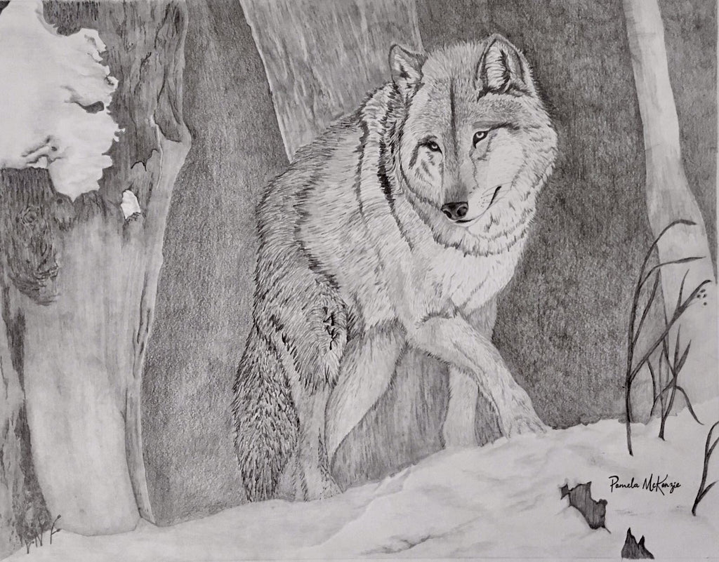 Northern Guardian