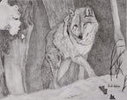 Northern Guardian