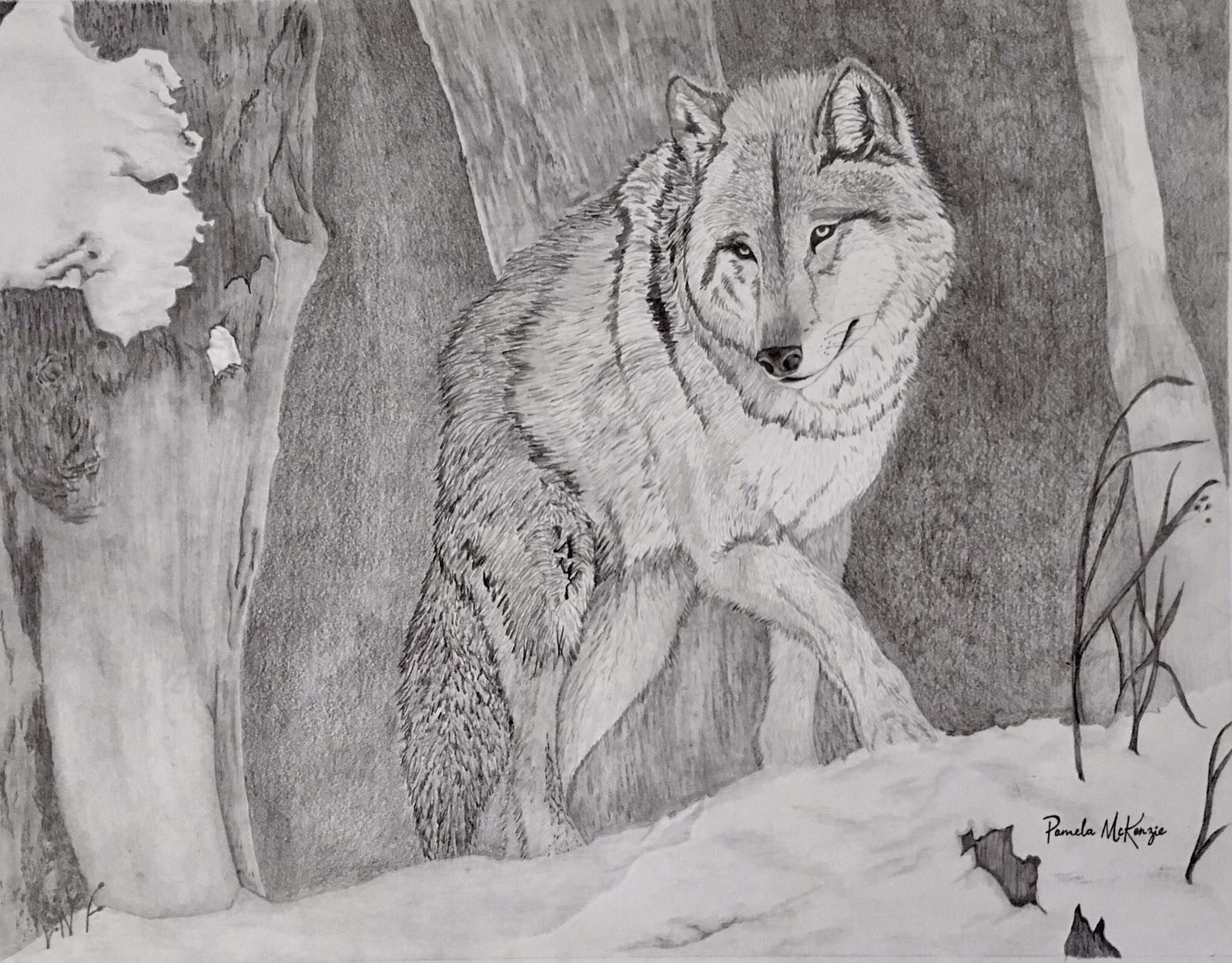 Northern Guardian