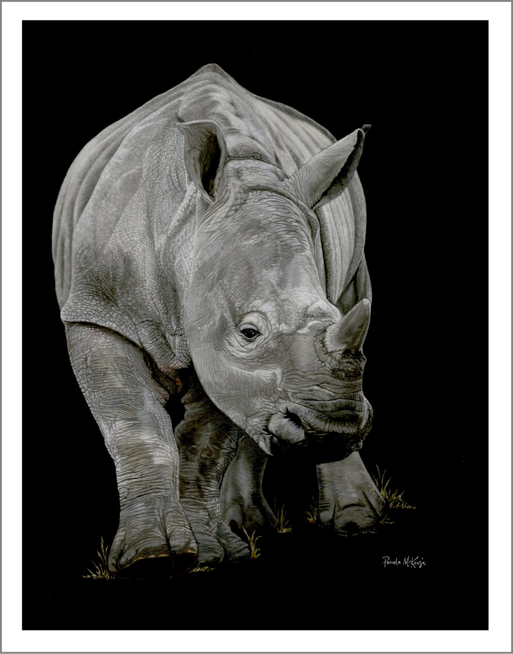 Precious - Rhino Fine Art Print