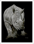 Precious - Rhino Fine Art Print