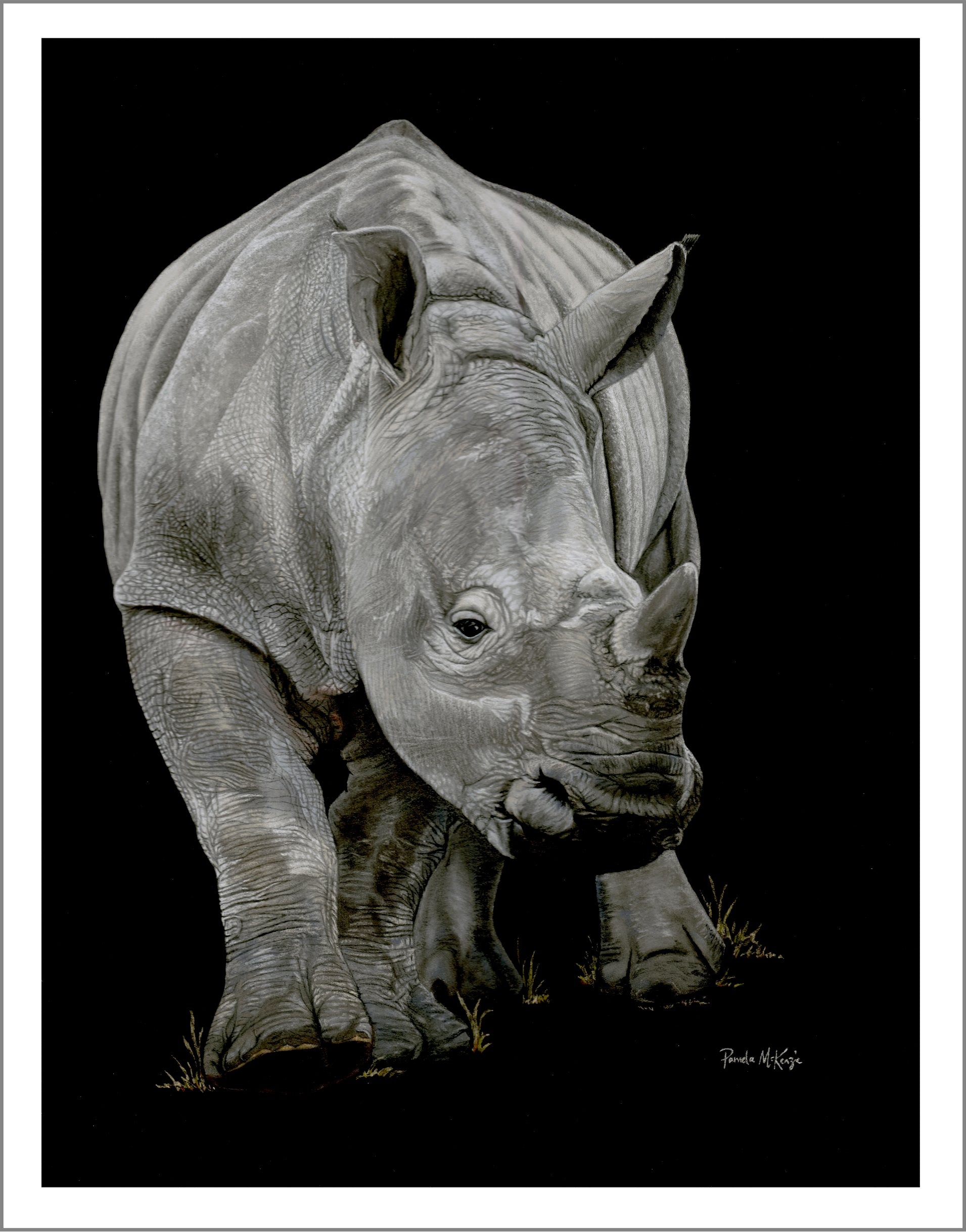 Precious - Rhino Fine Art Print