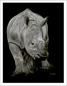 "Precious" Rhino Fine Art Print