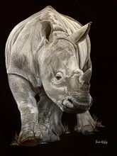 Load image into Gallery viewer, Rhinoceros Pastel Painting by Canadian wildlife artist - Silverline Fine Art