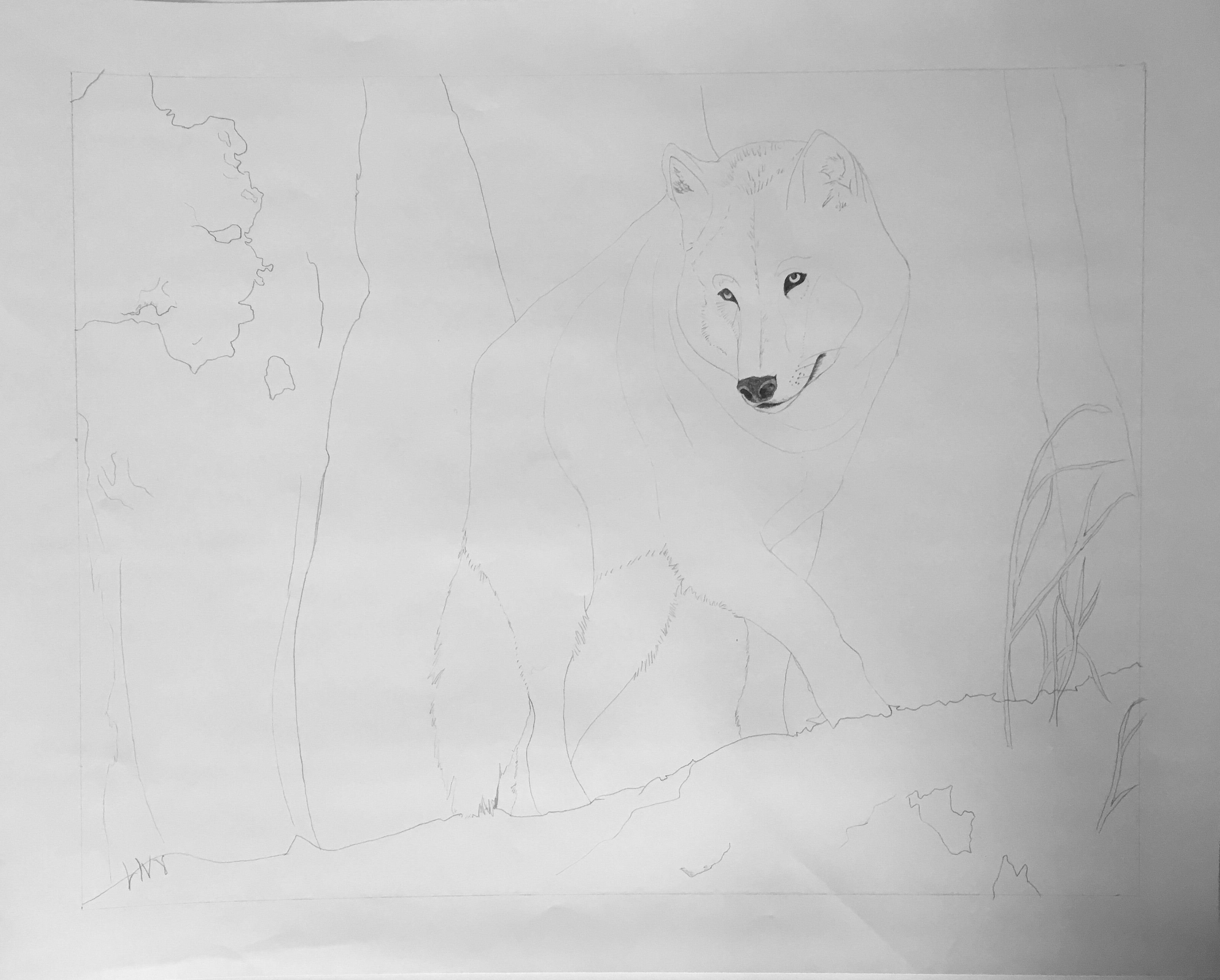 Northern Guardian