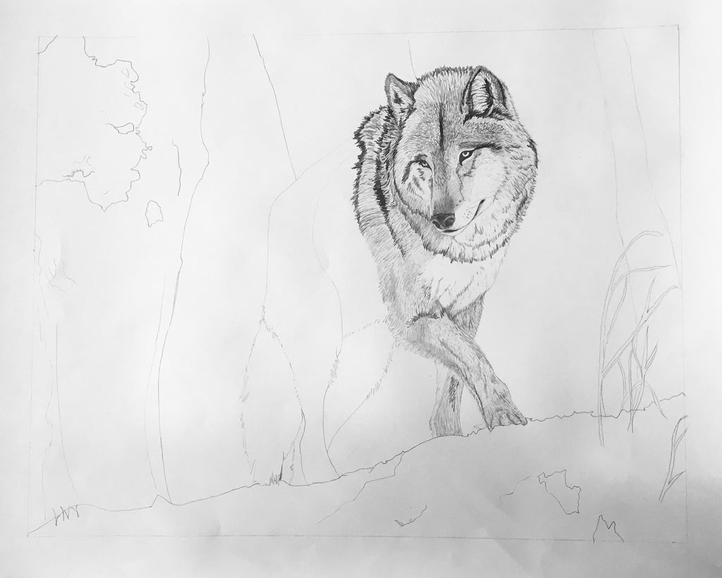 Northern Guardian