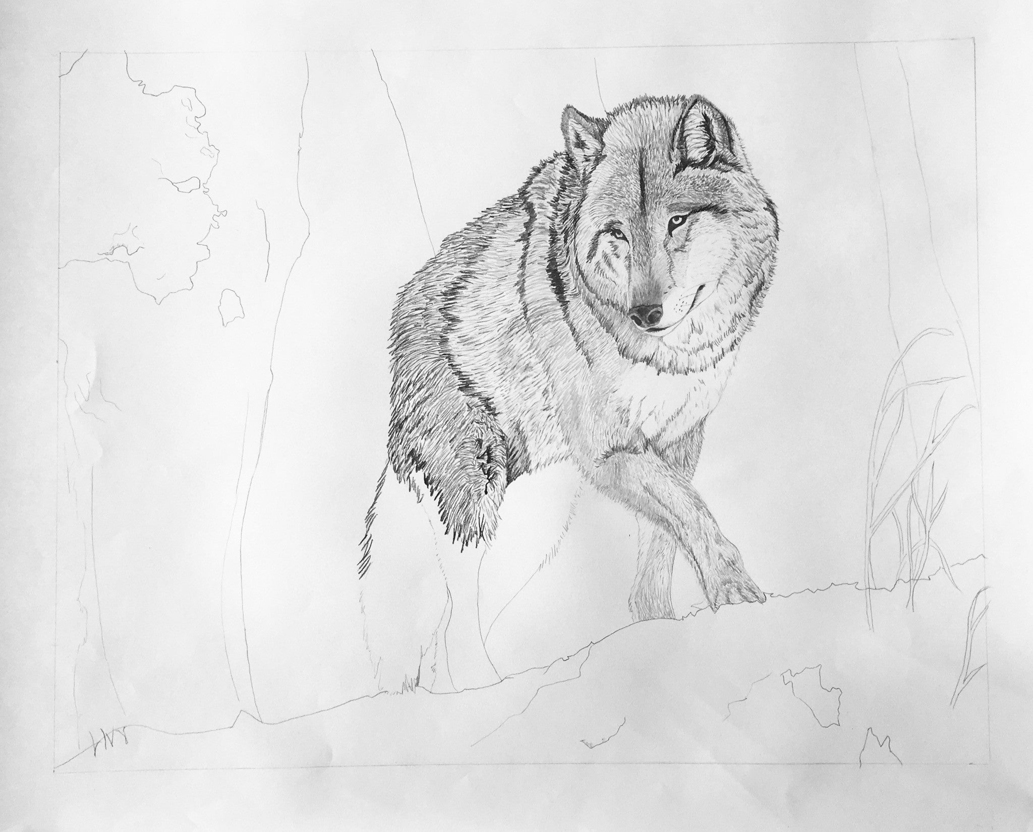 Northern Guardian
