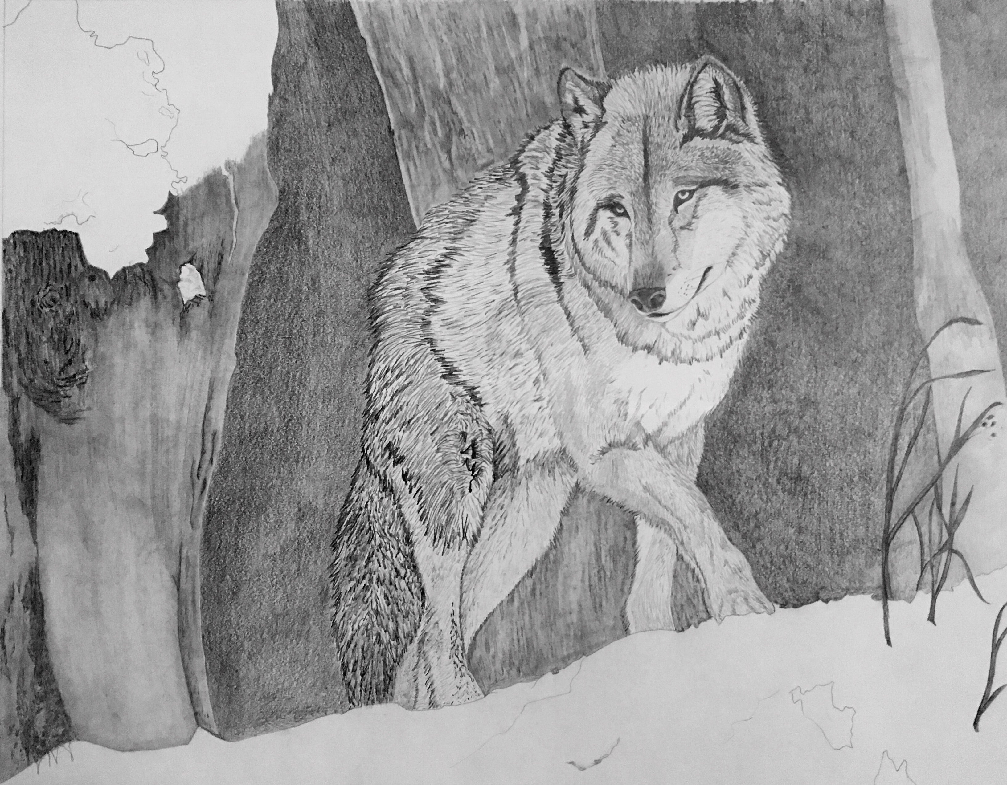 Northern Guardian
