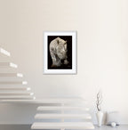 Precious - Rhino Portrait