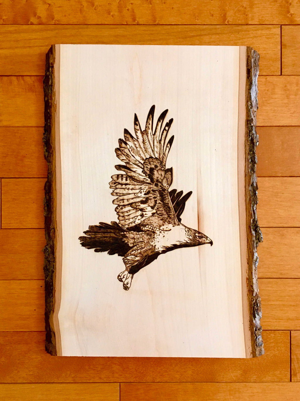 Hawk in Flight