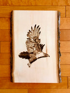 Hawk in Flight