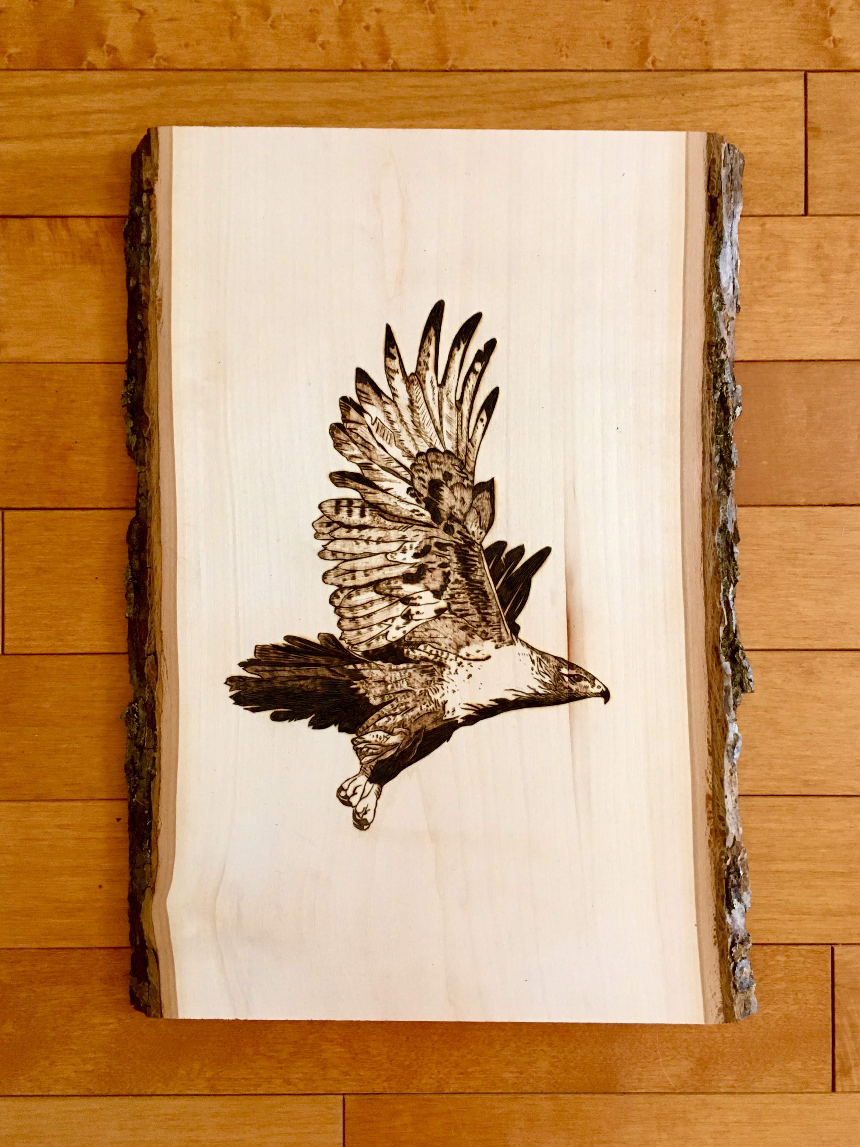 Hawk in Flight