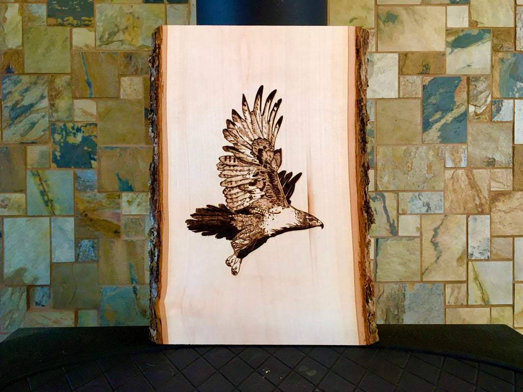 Hawk in Flight