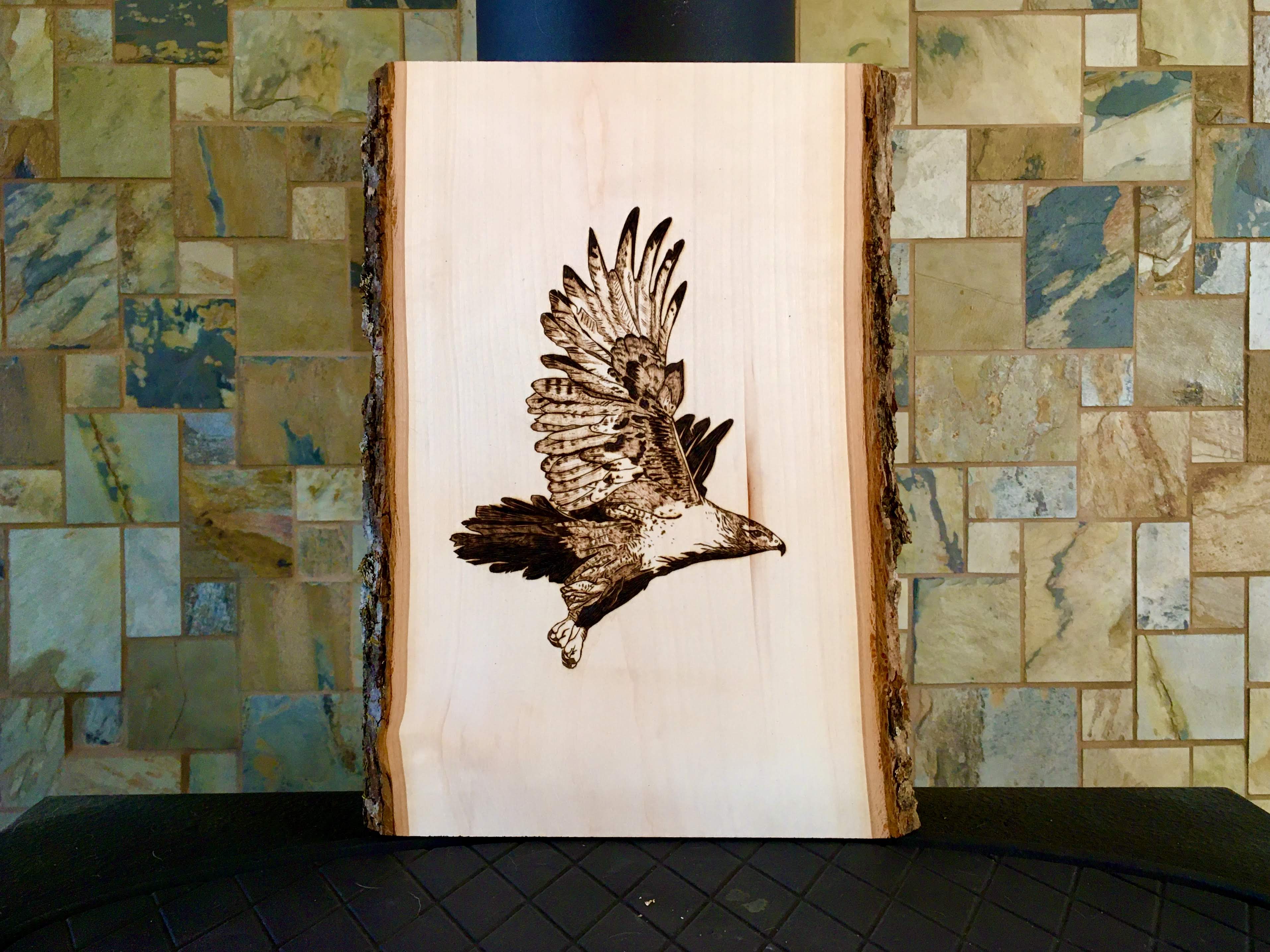 Hawk in Flight