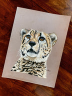 Mesmerize - Cheetah Portrait