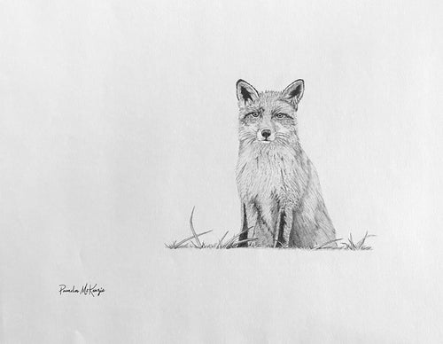 “Summer Day” Fox Drawing