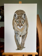 Into the Light - Cougar Painting