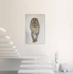Into the Light - Cougar Painting