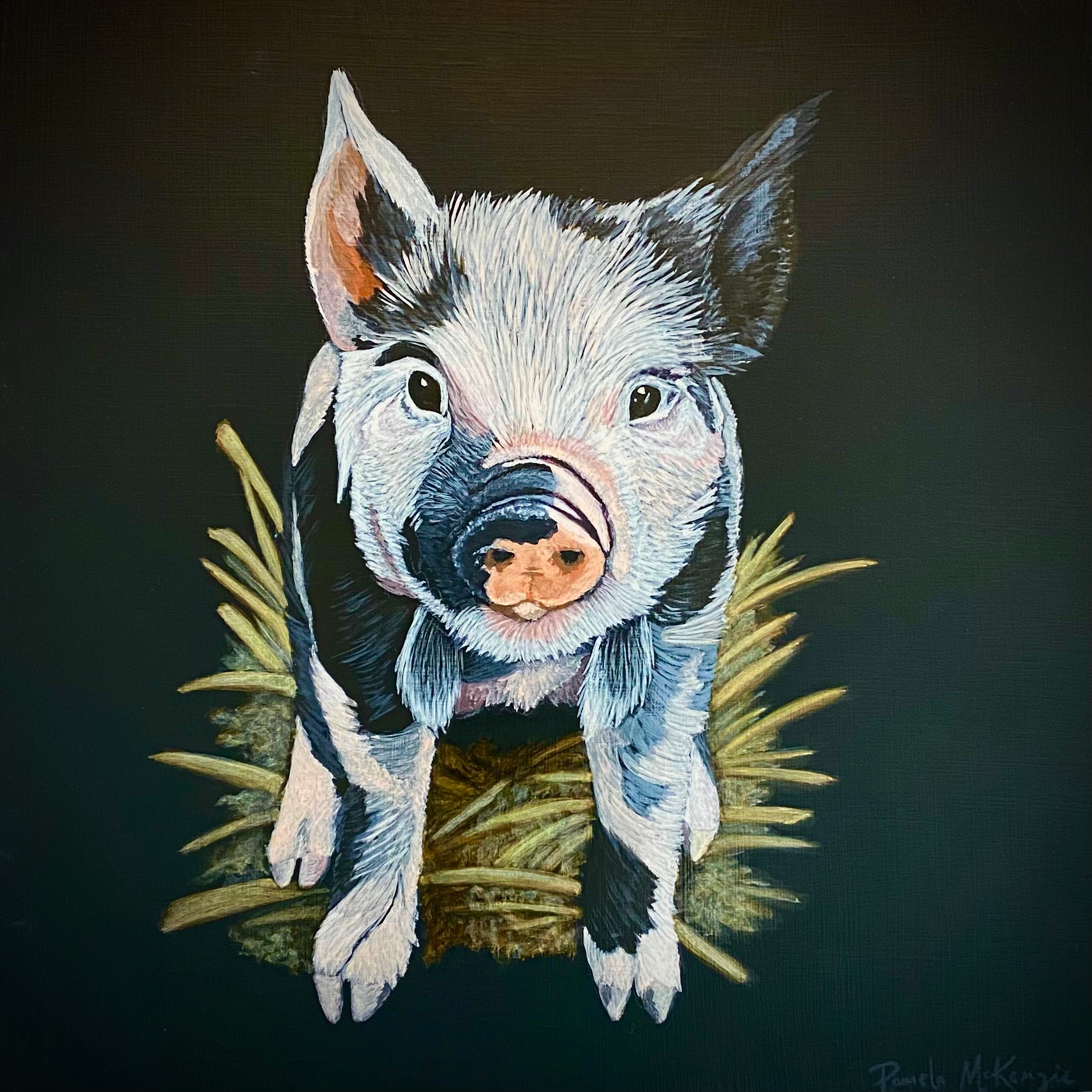Time Out - Acrylic Pig Painting