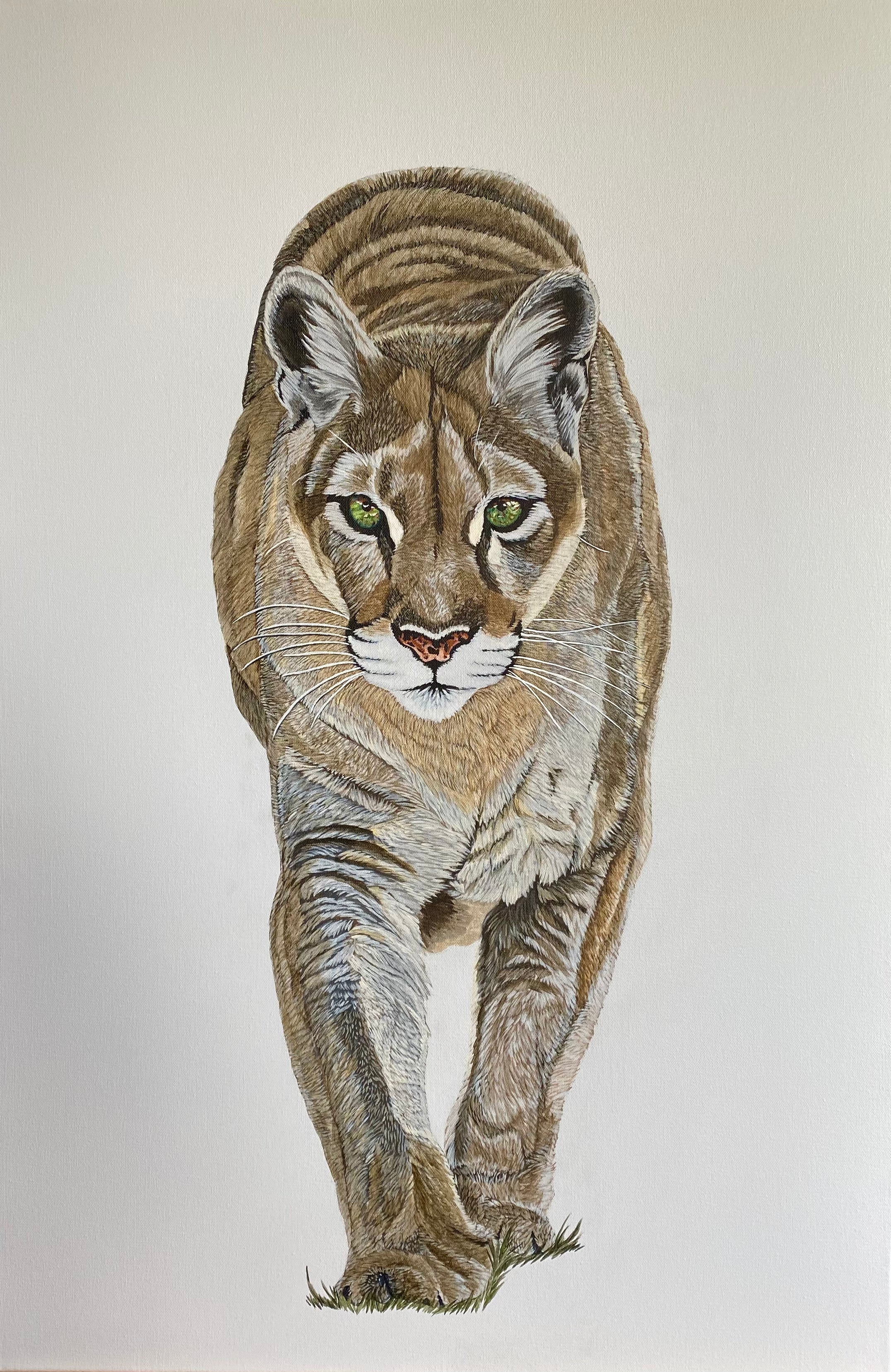 Into the Light - Cougar Painting