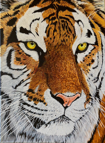Acrylic Tiger Painting by Silverline Fine Art