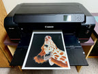Promise - Giraffe Fine Art Print