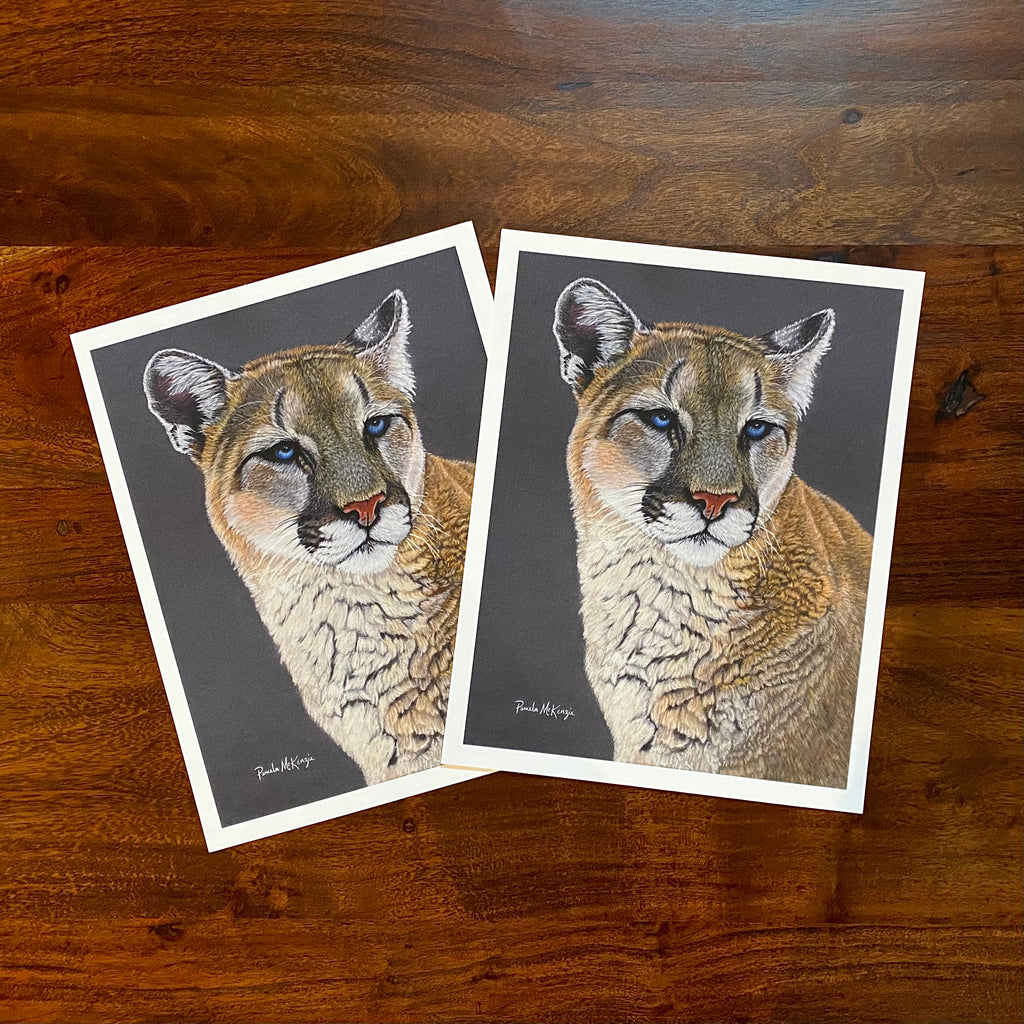 Stoic - Cougar Fine Art Print