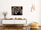 Lean on Me - Bighorn Sheep Painting