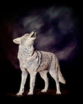 Call of the Wild - Coyote Painting