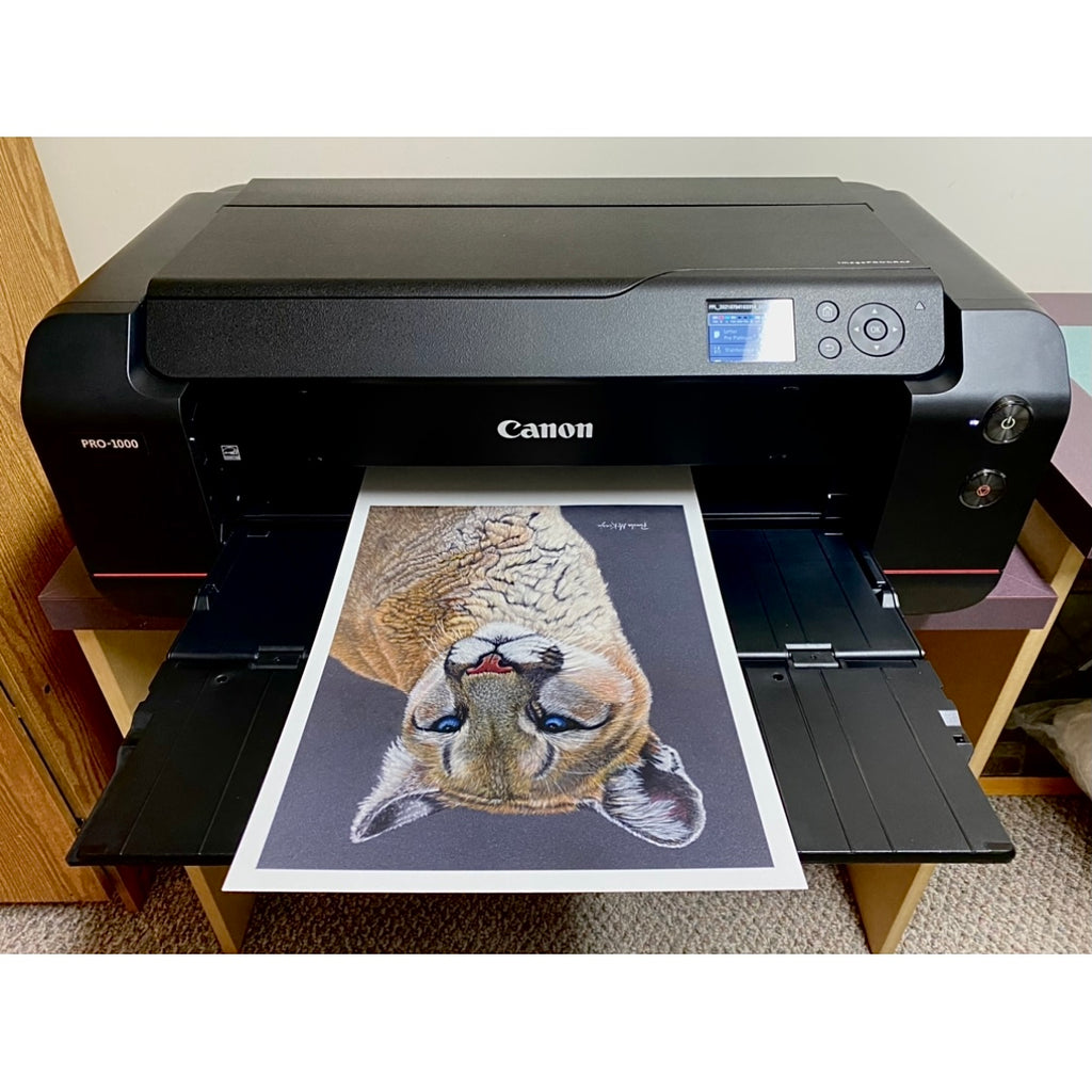 Stoic - Cougar Fine Art Print
