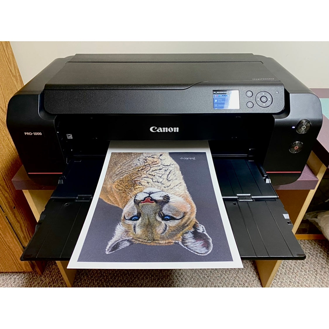 Stoic - Cougar Fine Art Print