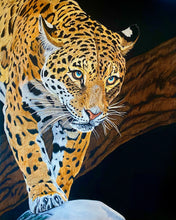 Load image into Gallery viewer, “One Step Closer” Jaguar Painting
