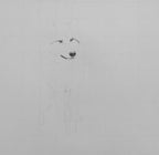 Shadow Companion Wolf Drawing