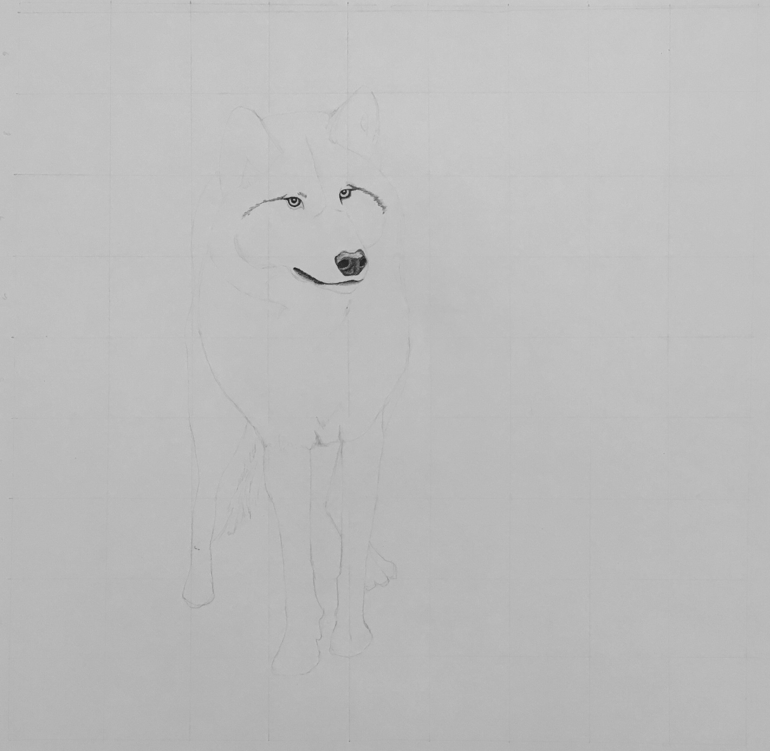 Shadow Companion Wolf Drawing
